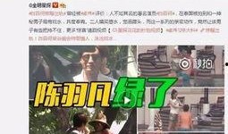 王雁林最新爆料消息视频,事件真相与幕后黑幕大曝光